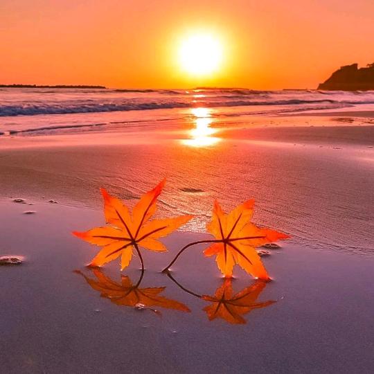 🌜最真的梦🌛