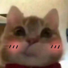 水清