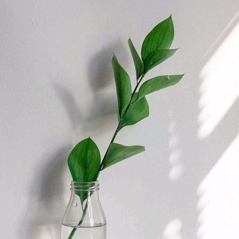 陆道友🌱
