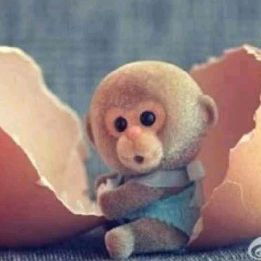 小猴子🐵