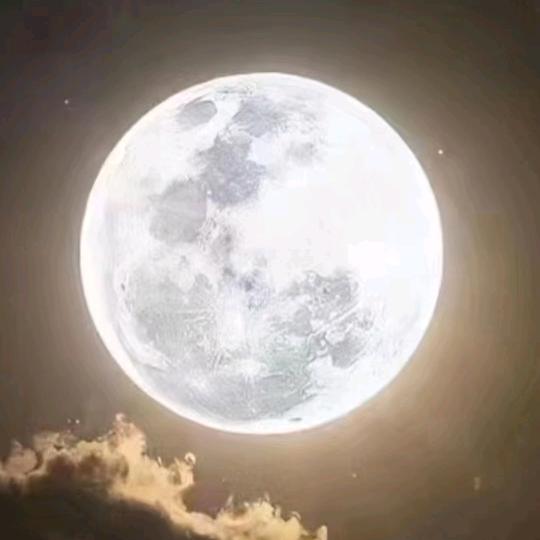 曼珠沙华
