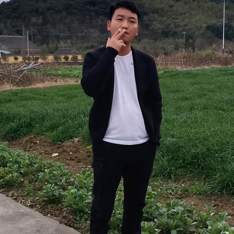 小龙龙