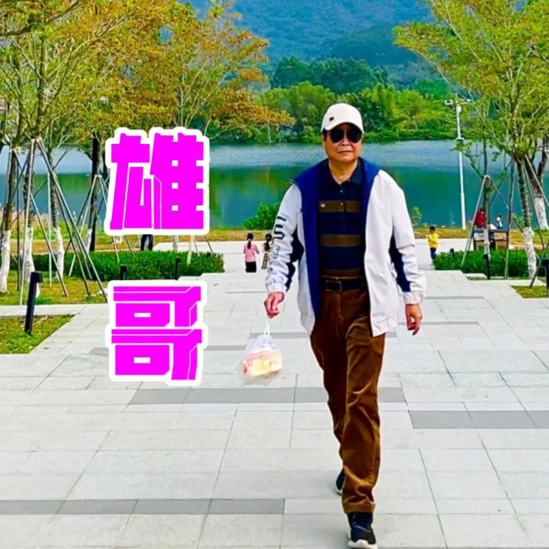 雄哥视界