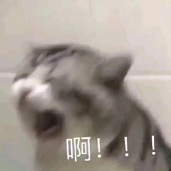 好开心呐(˵¯͒〰¯͒˵)