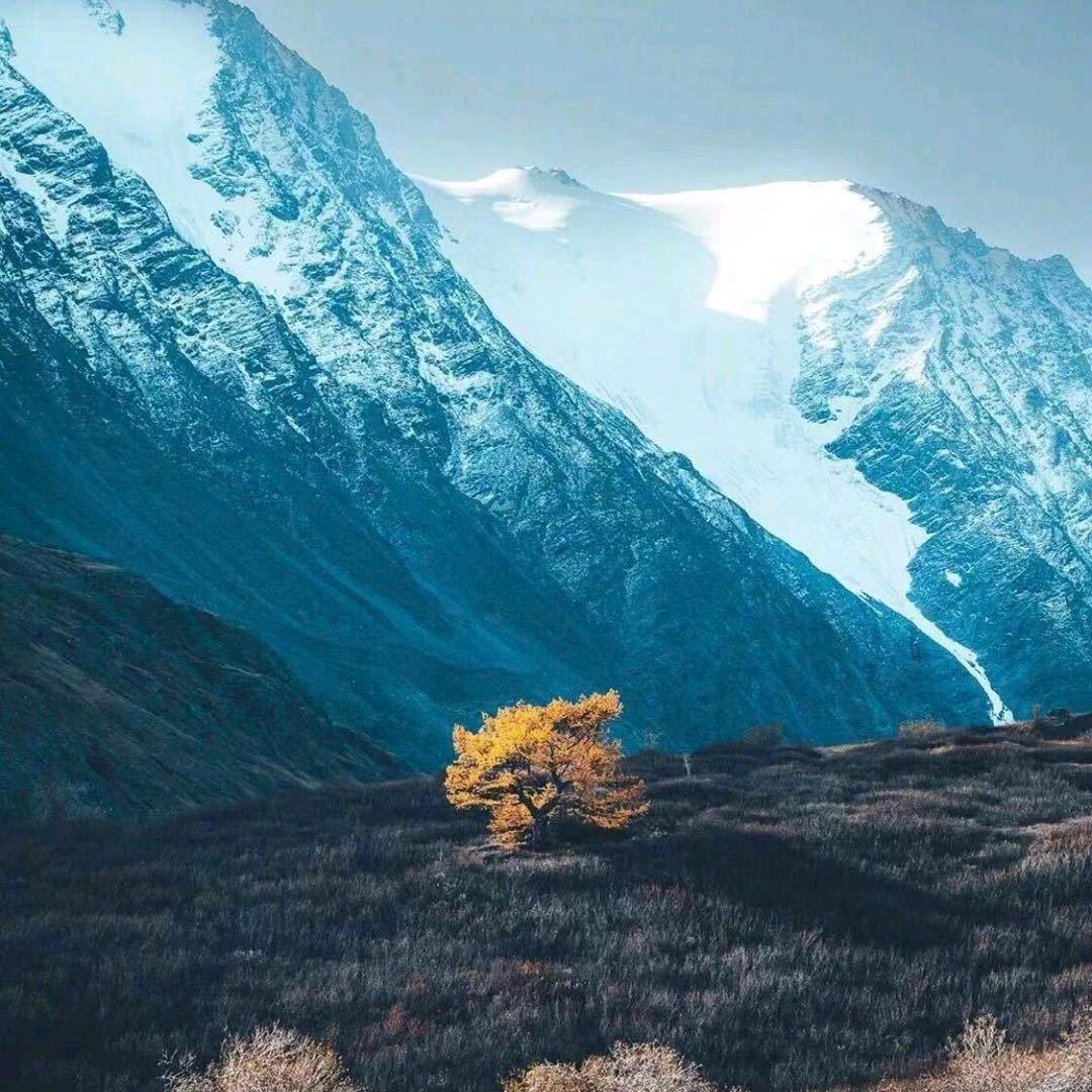 乄随禁