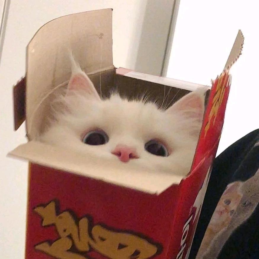 呼噜噜