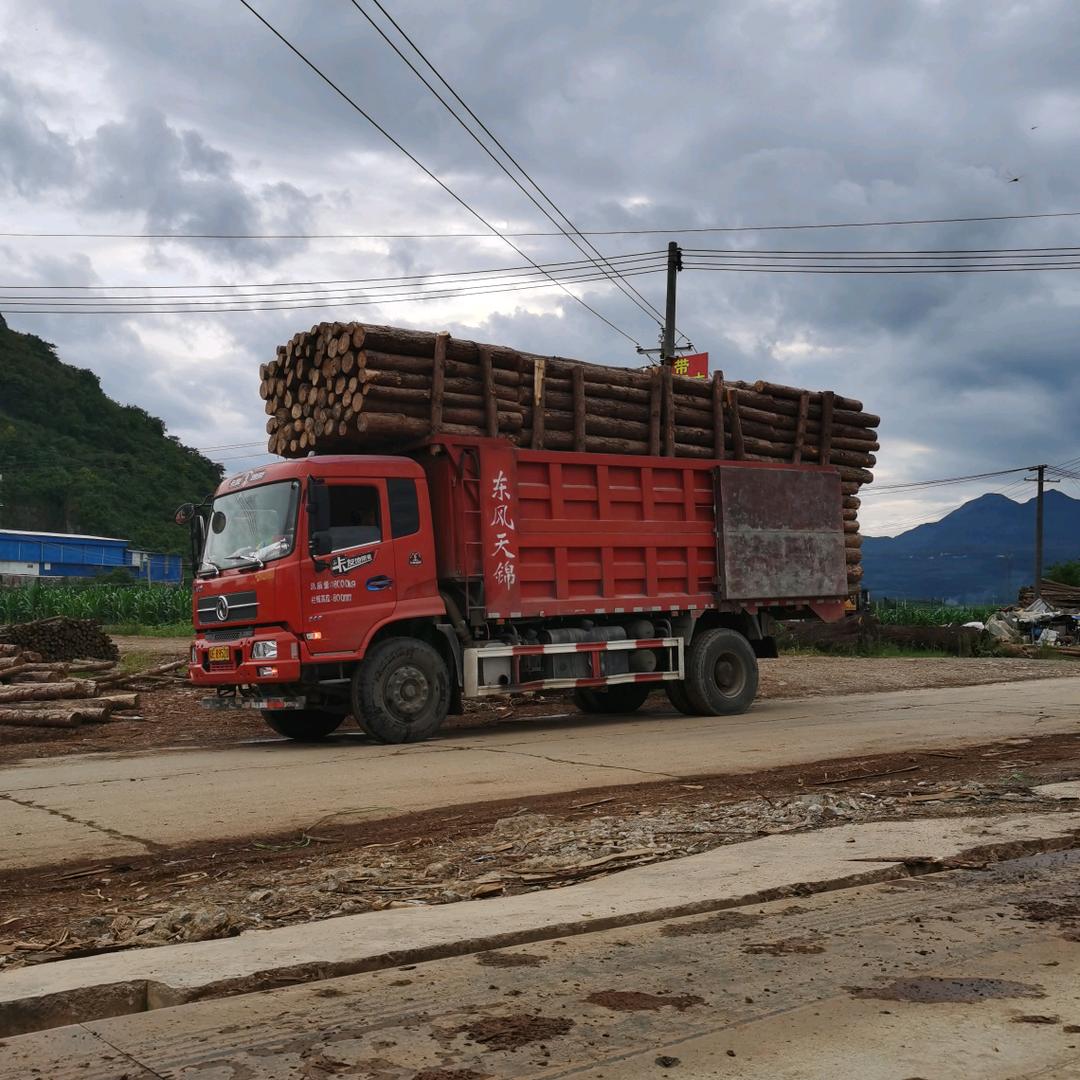 惊生哥驾车