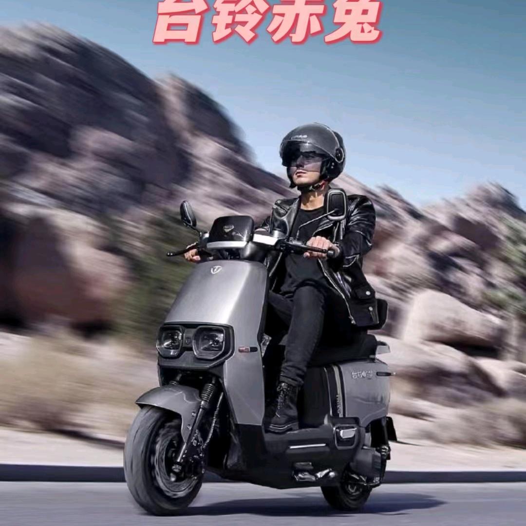 台铃电动车（桂花名居店）