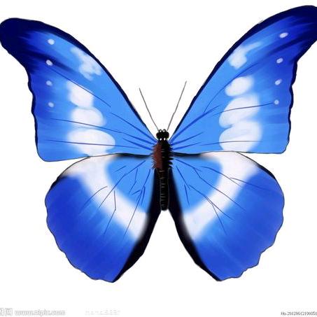 @ 🥀雨落心尘 ♡̷ ₍ᐢ..ᐢ₎🥀