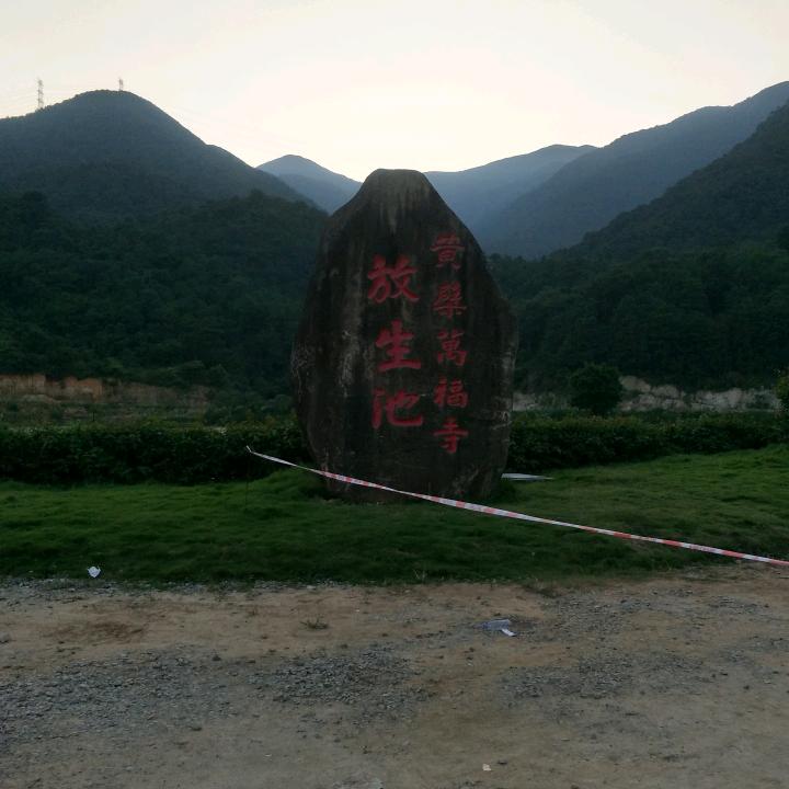 HGy海阔天空