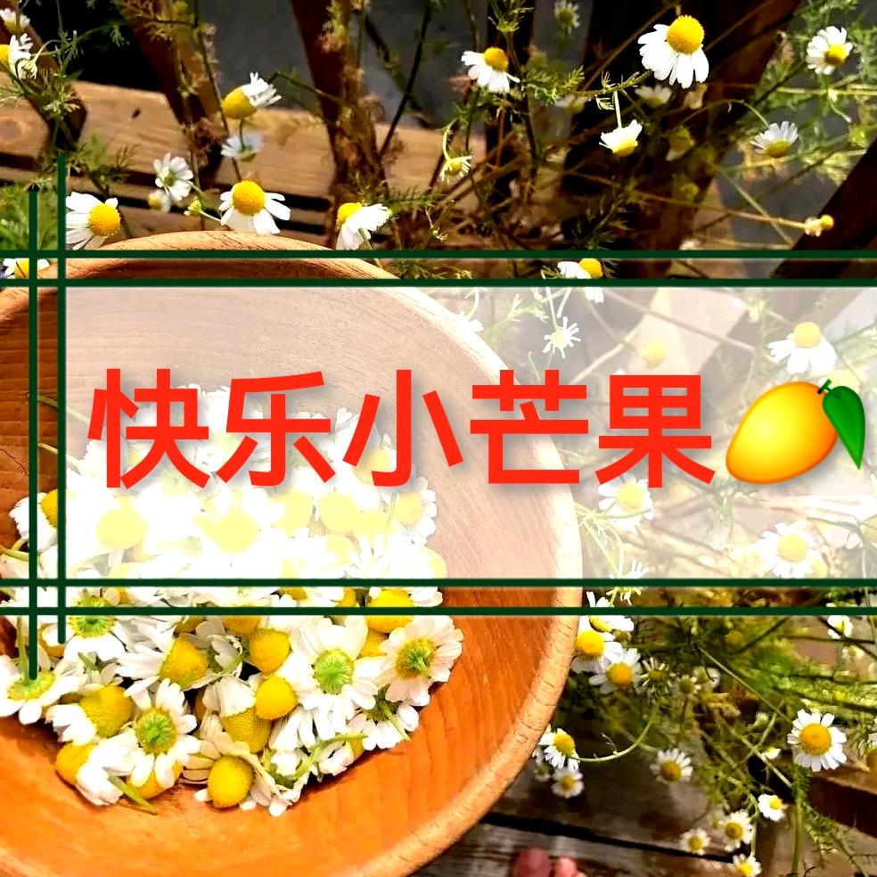 快乐小芒果🥭