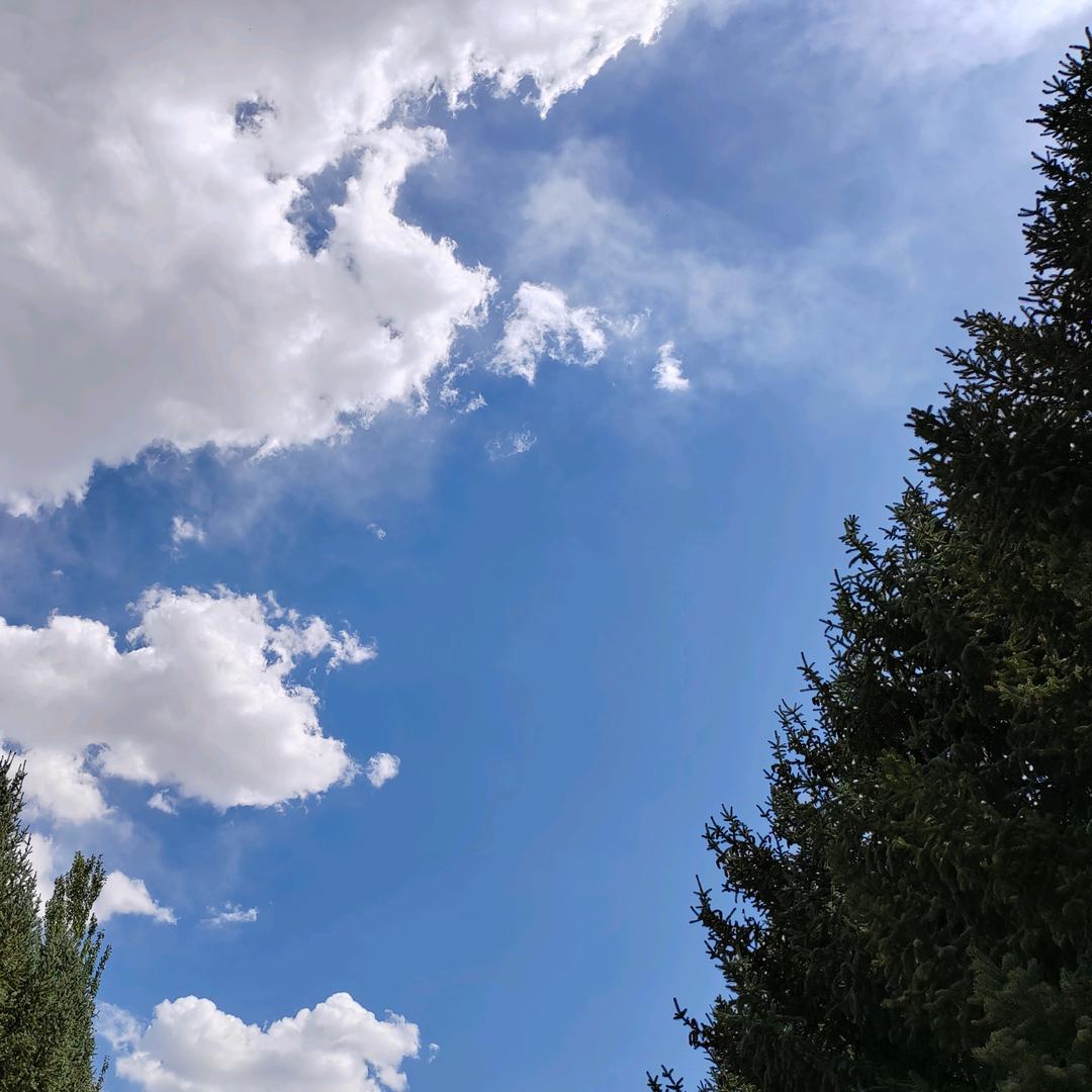 ………大道至简