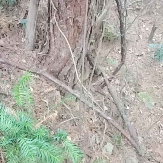 平平安安快快乐乐