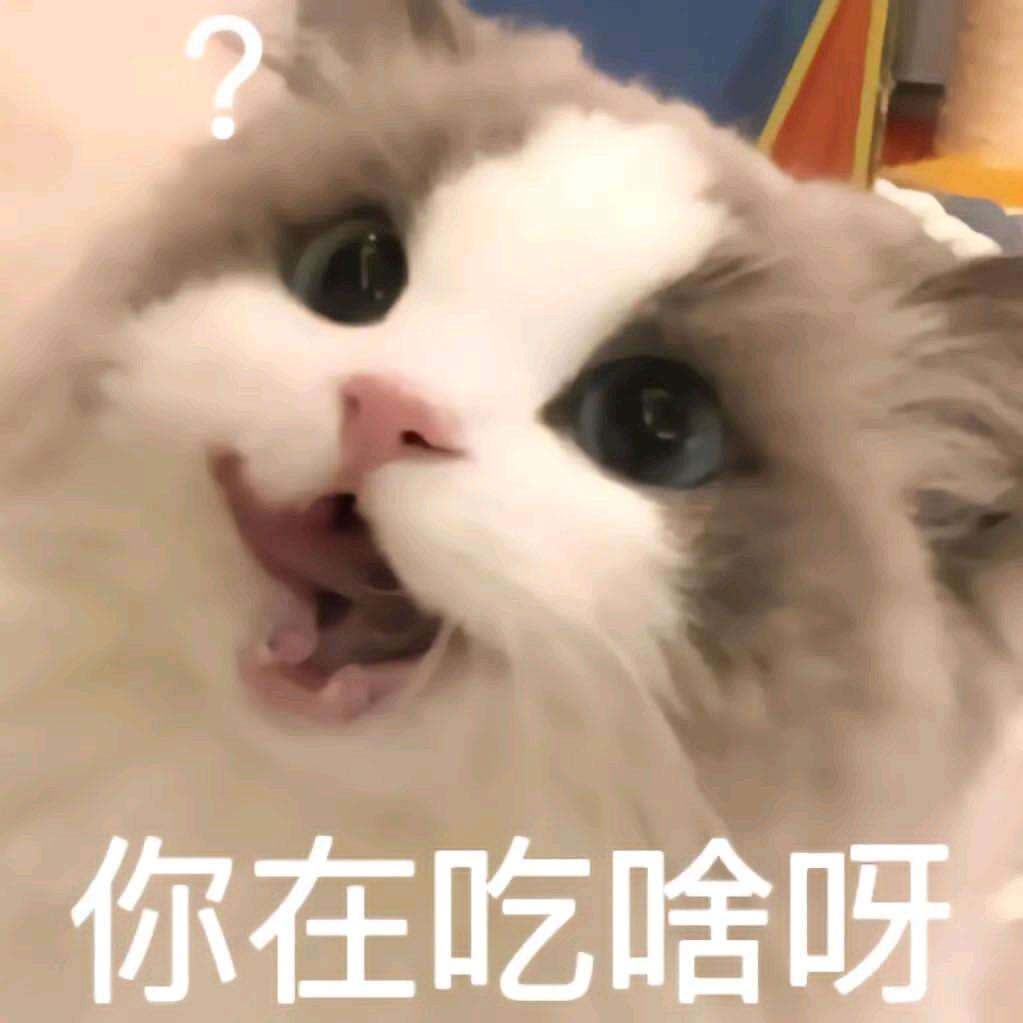 海盐椰奶