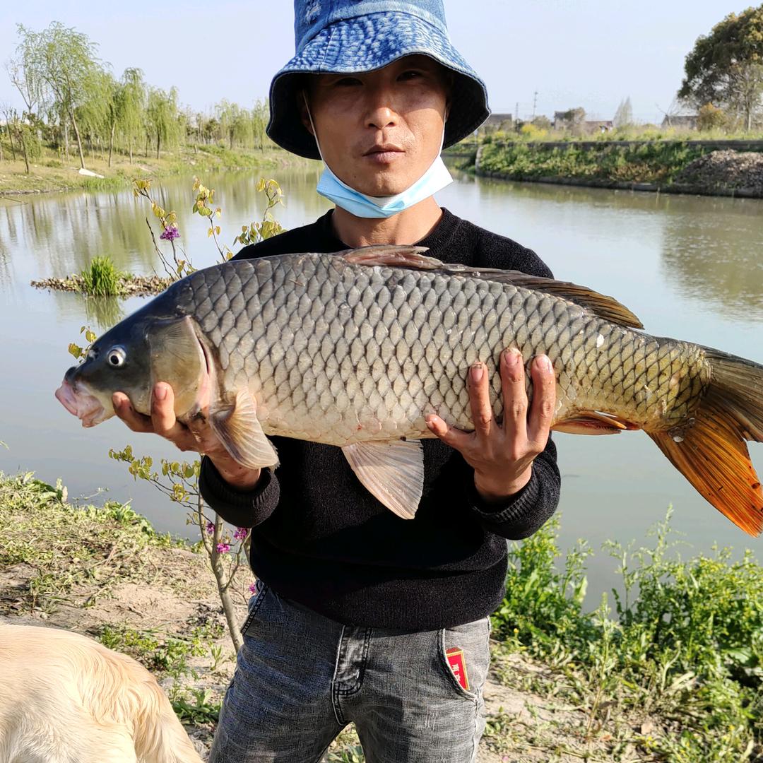 阿豪泡沫逗钓