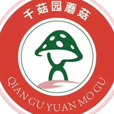 千菇园食用菌