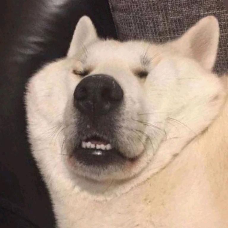 有个袋子