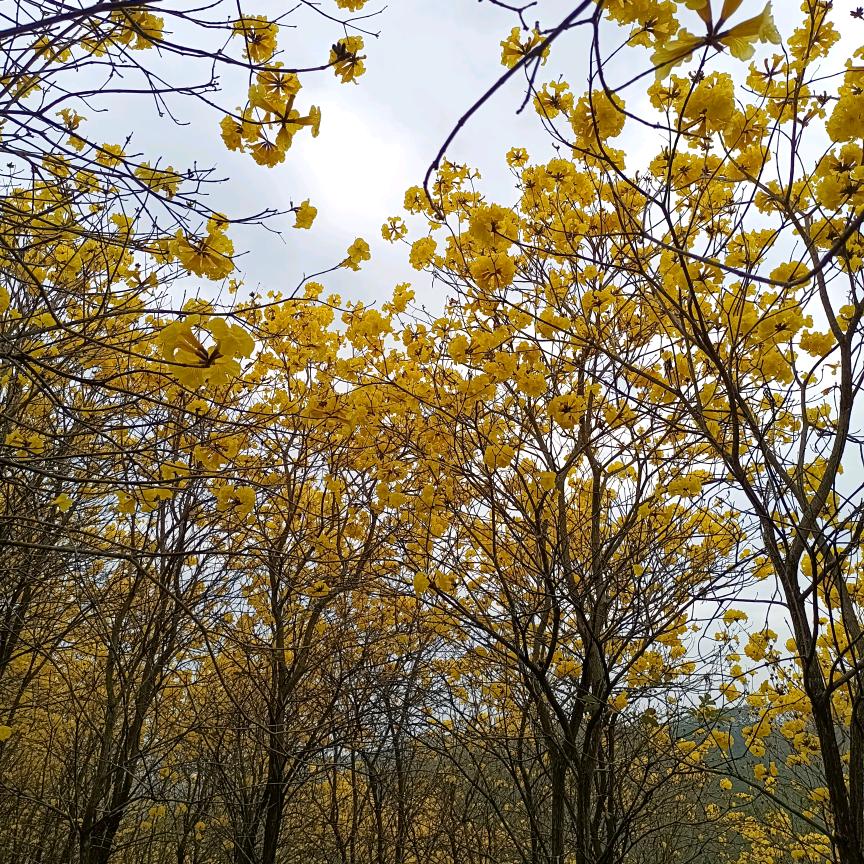 未命名