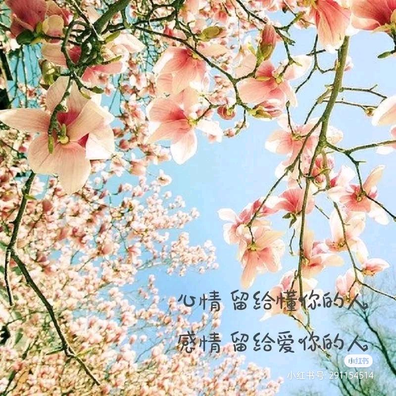 @珊泽