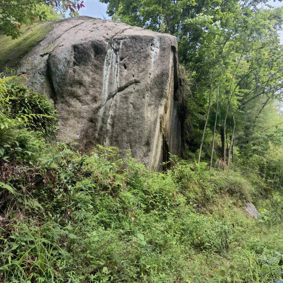 (๑˙❥˙๑)勤劳@致富(ღ♡‿♡ღ)