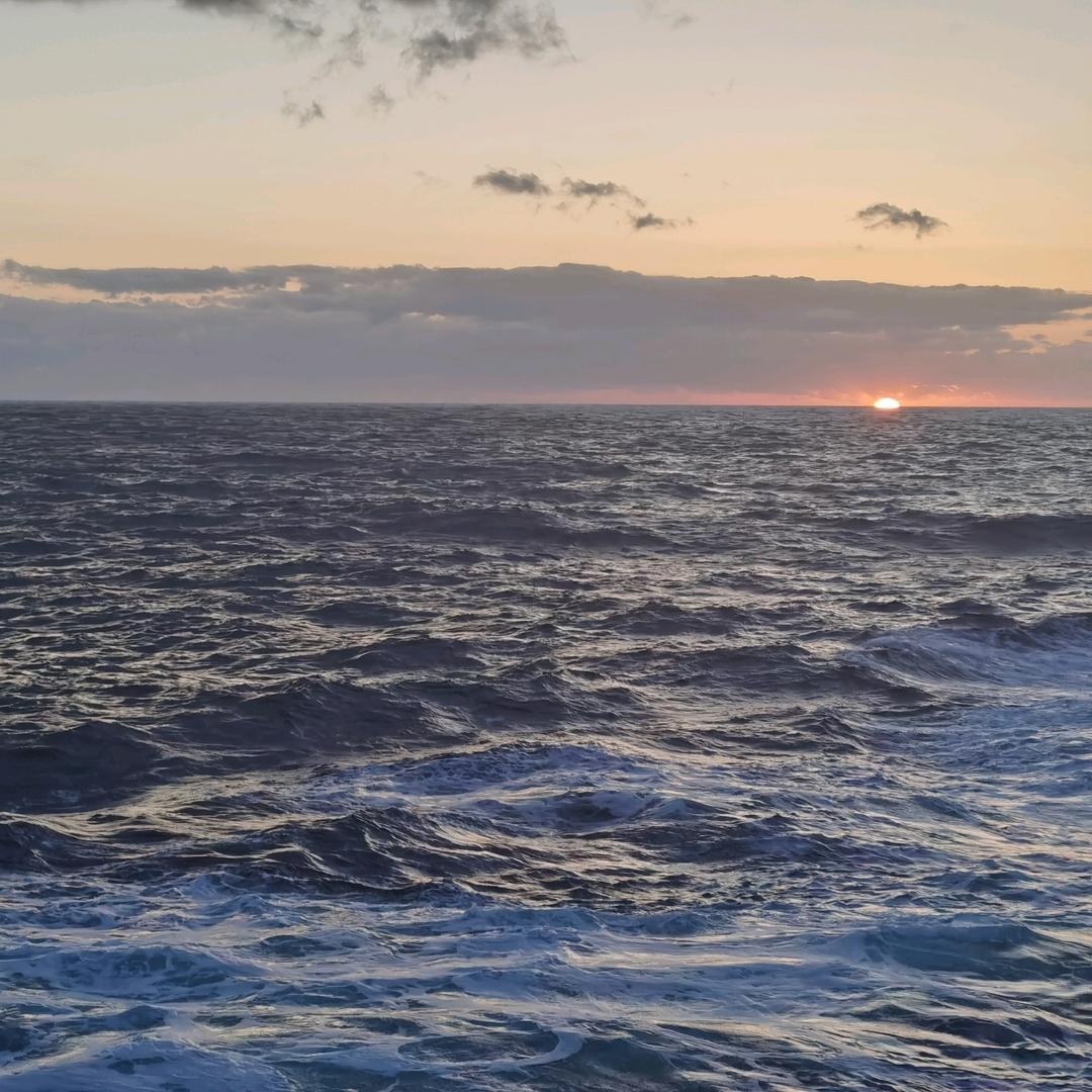 海嗨