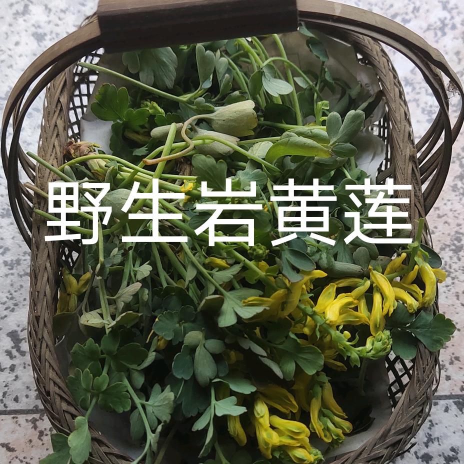 人生计划