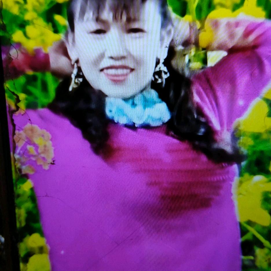 花落花开.