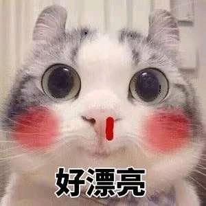 宝