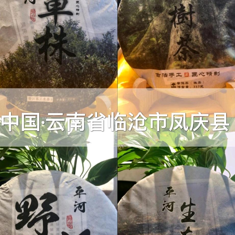平河梦梦古树茶