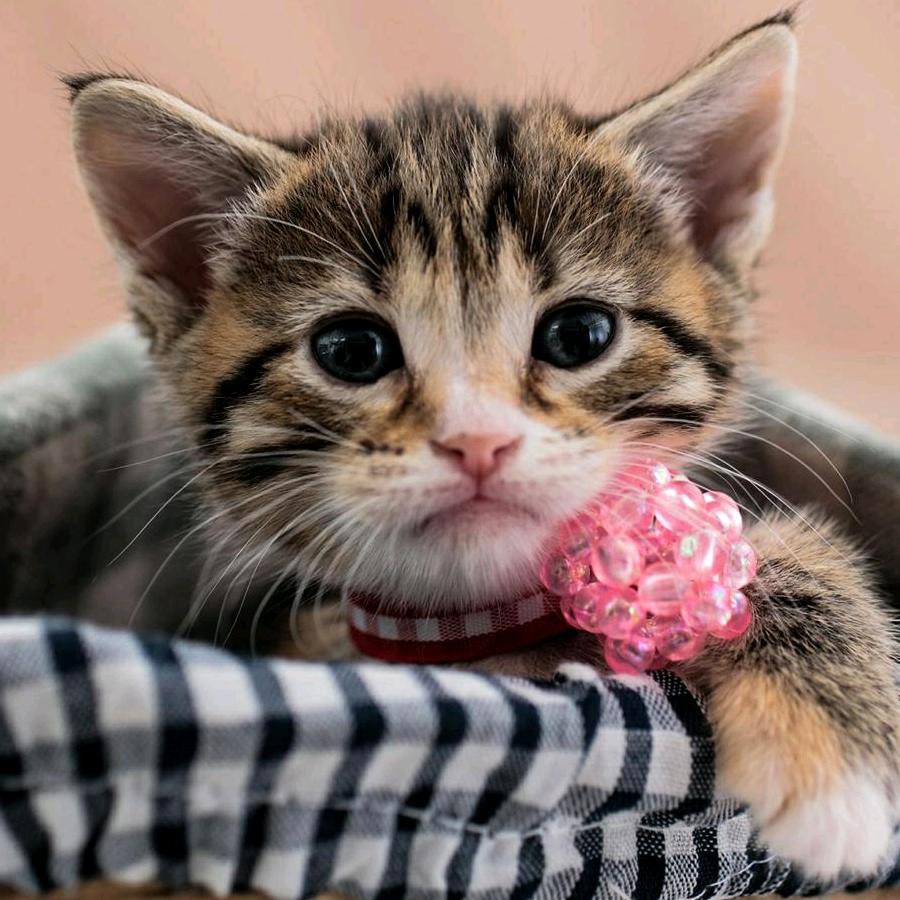 ༄꧁༺༽余@生不将就ཏ༿꧂༅࿐