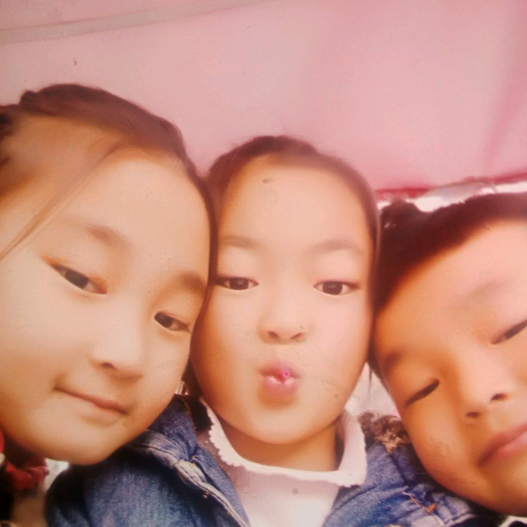 柳絮飞扬