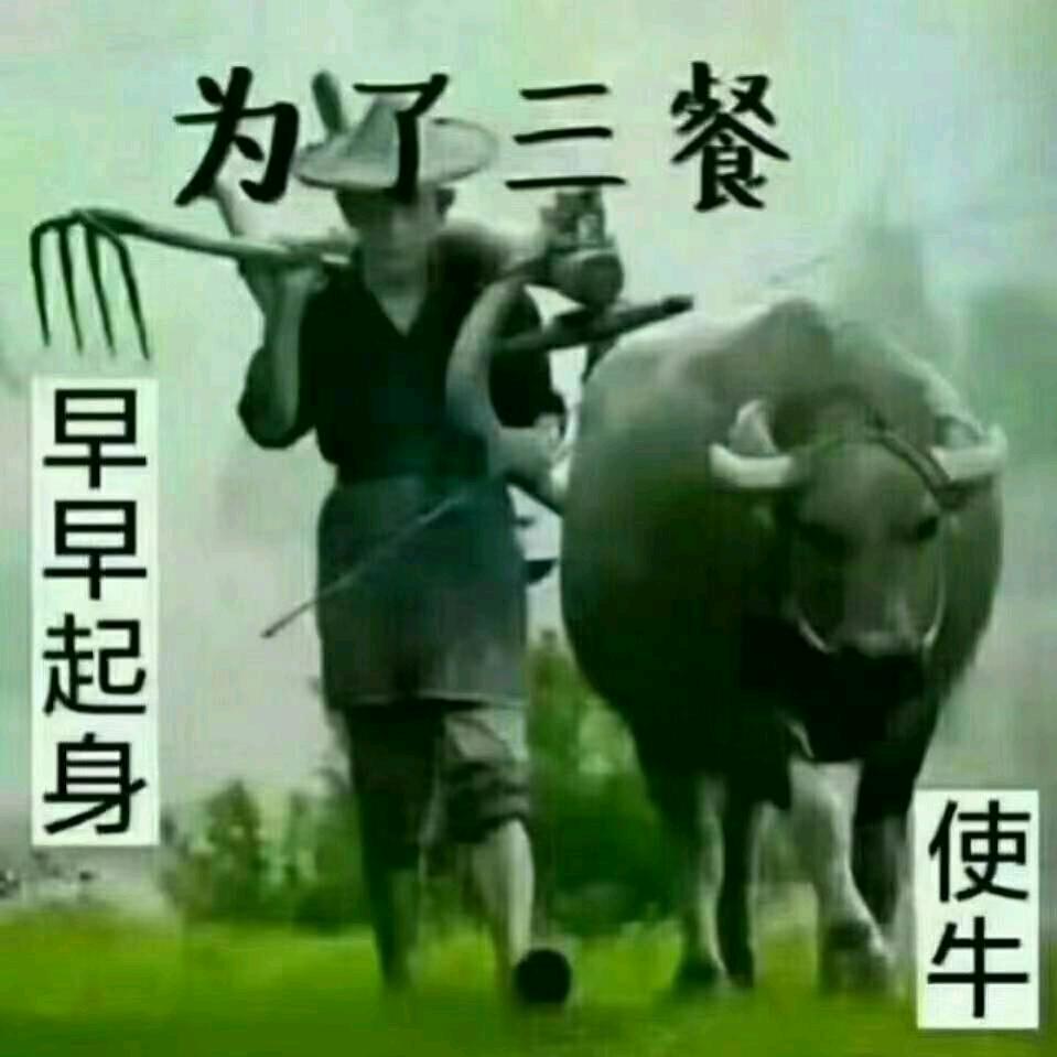 啊浩