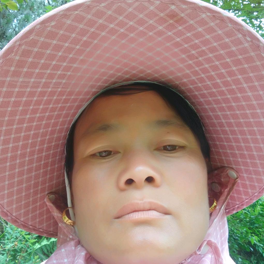 何艳