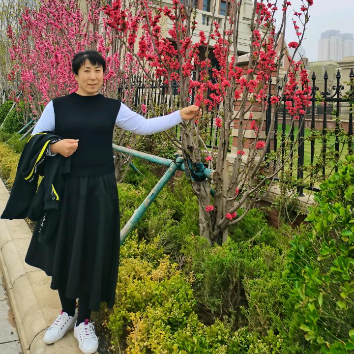 哈尔滨家政圣德保洁有限公司