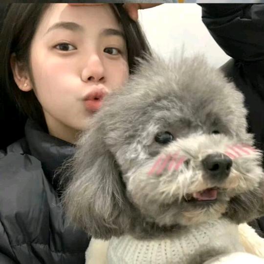 笨蛋.