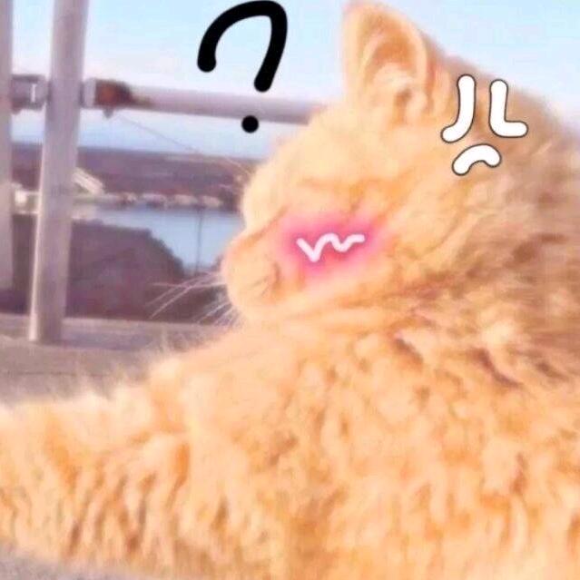 沉迷于学习的呆呆（和张杰见1次啦！！！）