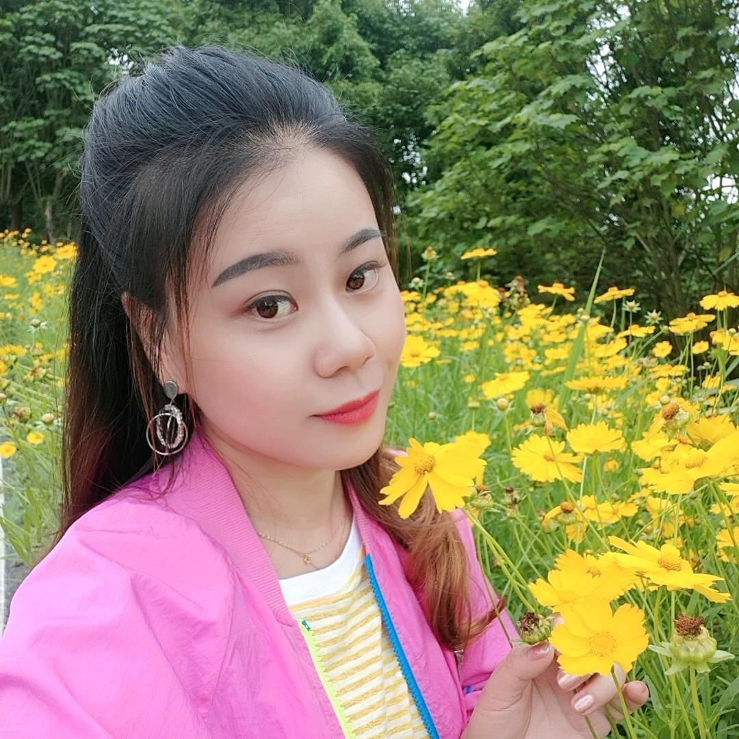 木槿花开