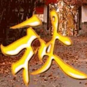 秋 💎《农机维修》