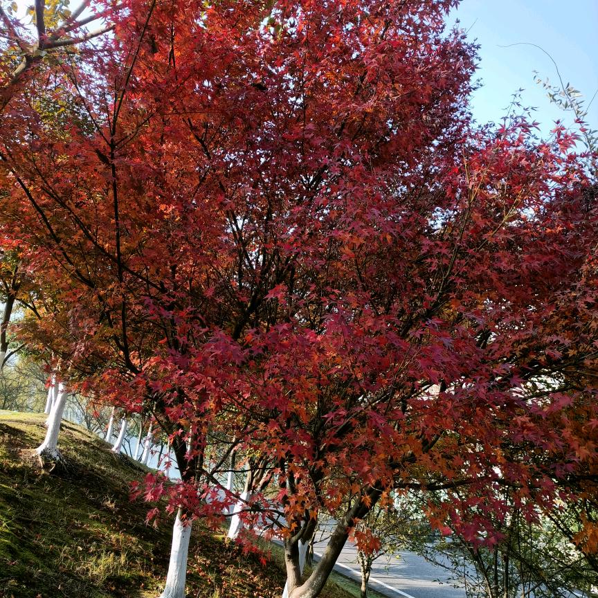 默默无语