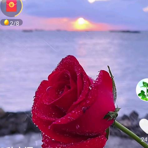 余生安好(๑•́ ㉨ •̀๑)