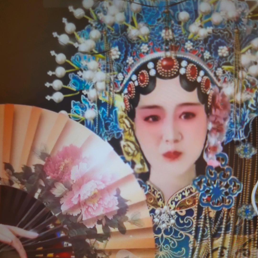 会花🌸