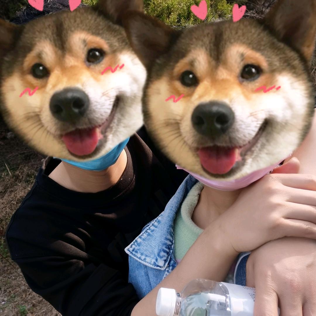 小揪揪