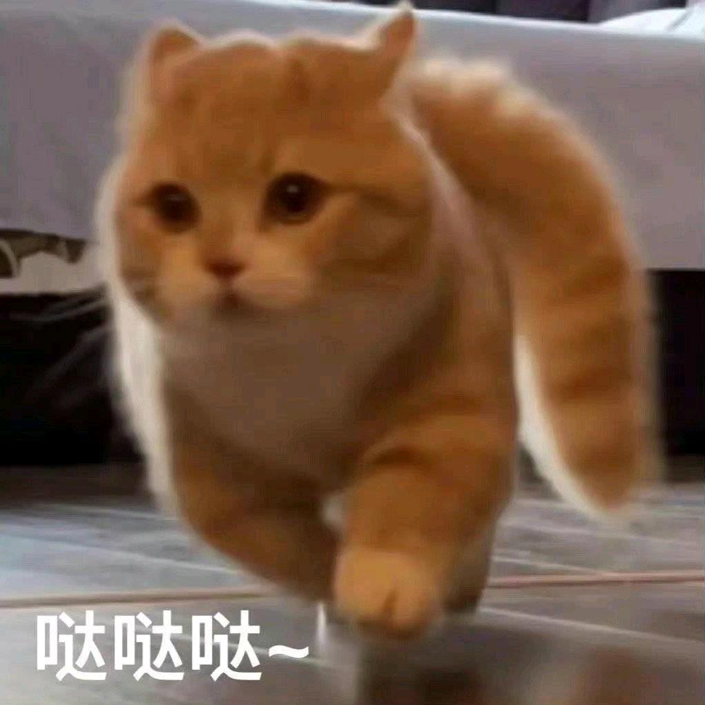 武周的沈均昊头像