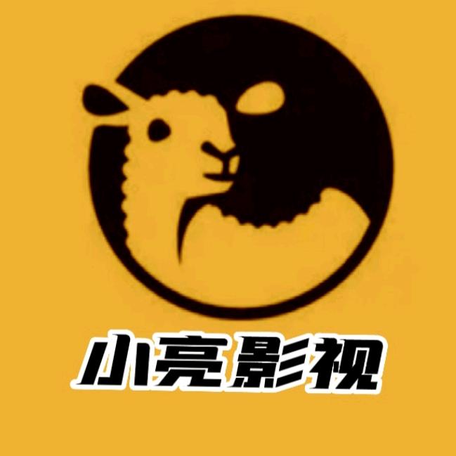小亮游戏