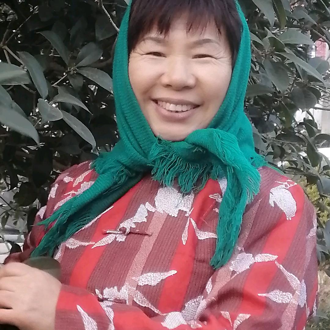 杏花开