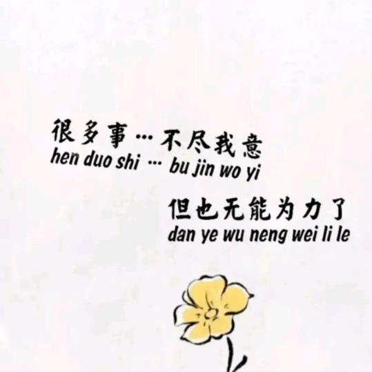 张张长不高