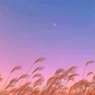 张晓敏