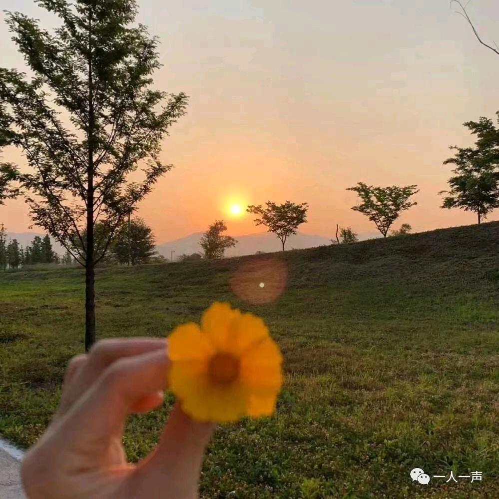 风都听不到的声音@杨锋