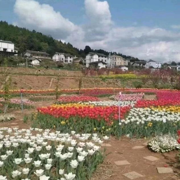 平安