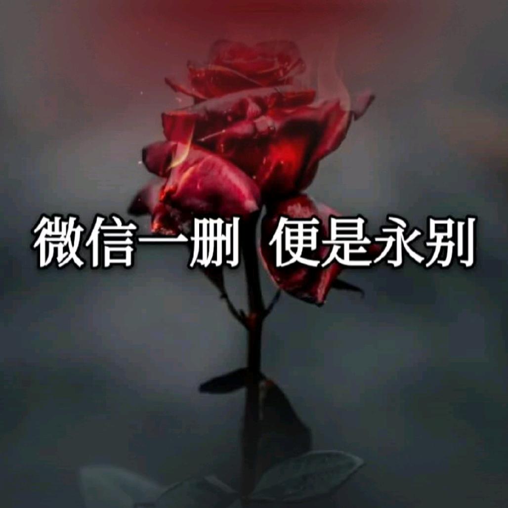 ✧*。٩(ˊωˋ*)و✧*。꧁9꧂
